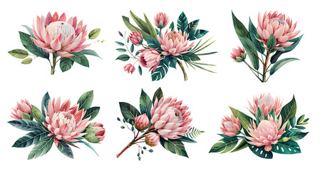 Watercolor protea flowers with leaves. Generative Ai