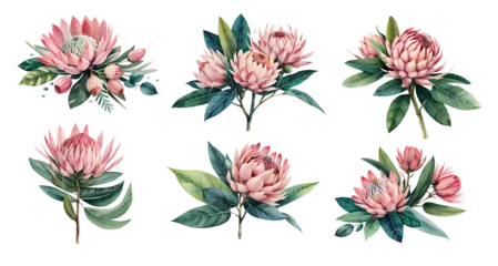 Kunstfelldecke mit Muster Tropische Pflanzen Watercolor protea flowers with leaves. Generative Ai