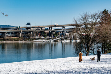 Family and Dog Enjoying Portland, OR Waterfront Park Covered in Snow With Interstate and Mt. Hood...