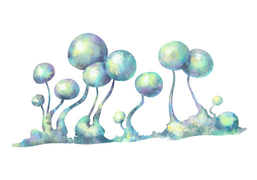 Mold and microorganisms. Close-up of microscopic fungi. For printing encyclopedias, textbooks and medical aids. Illustration for website design and print.
