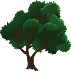 Obraz premium Detailed vector tree in Dark Green