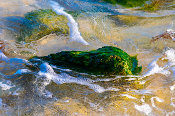 Stones rocks corals turquoise green blue water on beach Mexico.