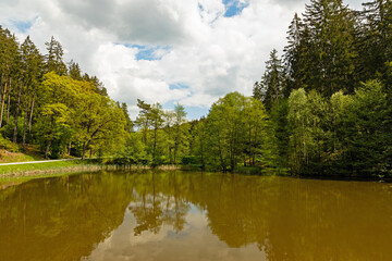 Fototapeta na wymiar pond in the Dammbach creek ground near Bad berka in thuringia