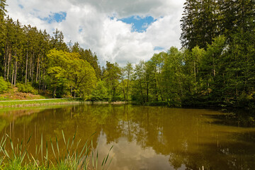 Fototapeta na wymiar pond in the Dammbach creek ground near Bad berka in thuringia
