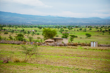 Fototapeta na wymiar life in African village in Tanzania
