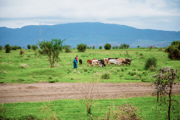 life in African village in Tanzania