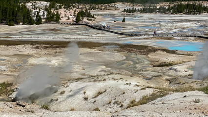 Norris Geyser Basin in Yellowstone National Park