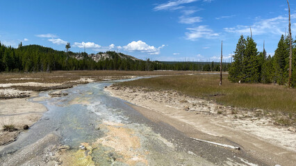 Little Whirligig Geyser in Norris Geyser Basin in Yellowstone National Park