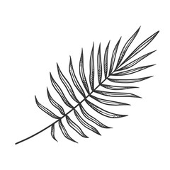 Fototapeta premium Tropical Leaves logo design inspiration