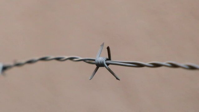 Barbed wire on the background of the gray wall. Illegal immigration concept, prison lifestyle, imprisonment, restricted area