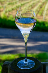 Tasting of premier cru sparkling white wine with bubbles champagne with view on green pinot noir, meunier vineyards of Hautvillers, France.