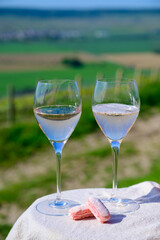 Tasting of premier cru sparkling rose wine with bubbles champagne with view on green pinot noir, meunier vineyards of Hautvillers, France.
