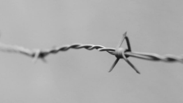 Barbed wire on the background of the gray wall. Illegal immigration concept, prison lifestyle, imprisonment, restricted area, black and white