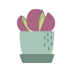 succulent house plants logo design inspiration