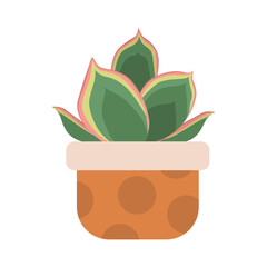 succulent house plants logo design inspiration