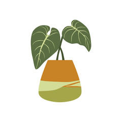 succulent house plants logo design inspiration