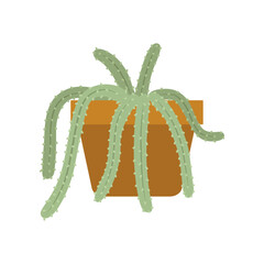 succulent house plants logo design inspiration