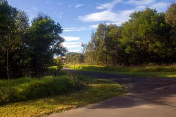 Walking Pathway at park
