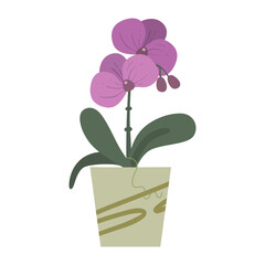 succulent house plants logo design inspiration