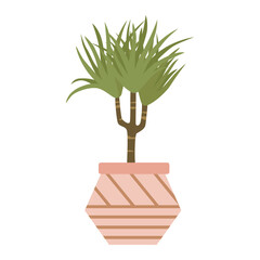 succulent house plants logo design inspiration