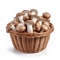 mushroom, food, champignon, isolated, white, vegetable, ingredient, fresh, fungus, healthy, edible, mushrooms, raw, vegetarian, nature, organic, diet, brown, natural, freshness, fungi, group, meal, nu