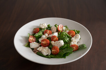 Salad with canned tuna, mozzarella and tomatoes in white bowl