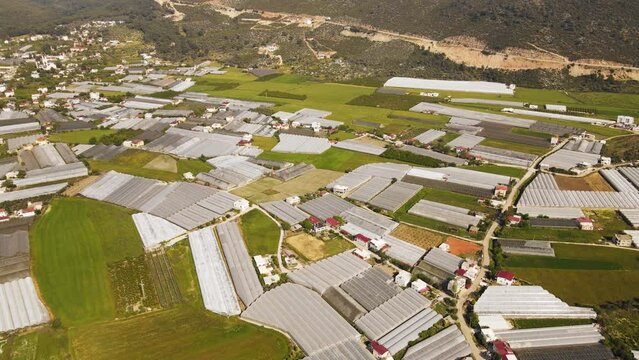 Flight over industrial greenhouses agroindustry. Growing vegetables in modern greenhouse.Aerial view