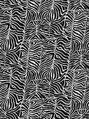 Scewed zebra print - 605030933