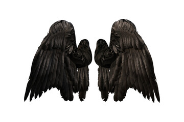 Folded black demon or angel wings. 3D render isolated on transparent background.