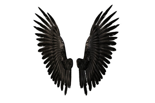 Spread black demon or angel wings. 3D render isolated on transparent background.
