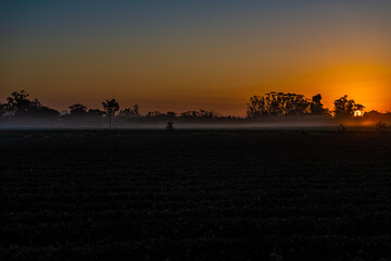 Obraz premium Dawn in the agricultural fields of southern Santa Catarina.