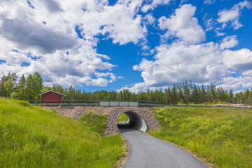 Fototapety na wymiar - Fototapeta24.pl