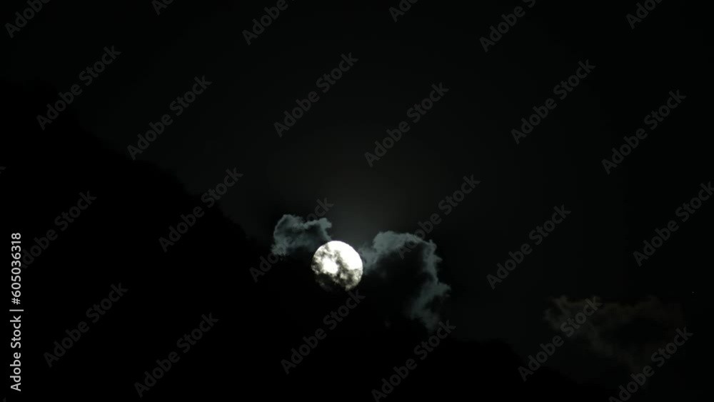 Wall mural full moon rising from a mountain behind with the silhouette of trees.