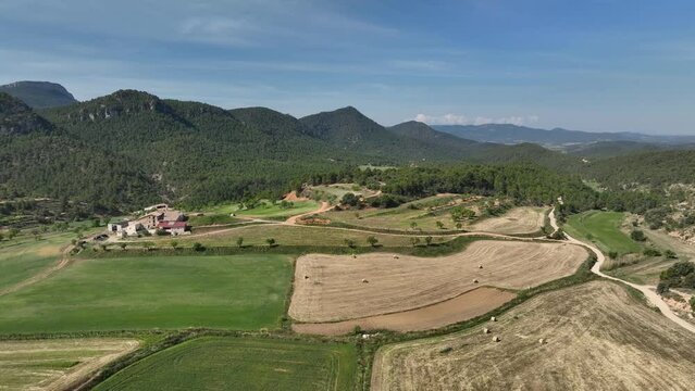 Vista panoramica aerea de campo de cereal verde con casa rural y montañas un dia soleado