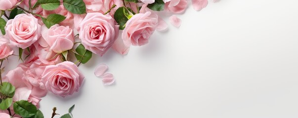 Obraz na płótnie Canvas a Horizontal format with Roses in margin with product or copy space. nature design template. picturesque floral-themed, photorealistic illustrations in JPG. 10:4 aspect. Generative ai
