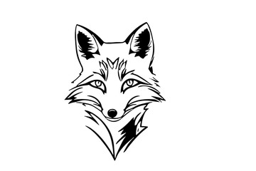fox head isolated on white