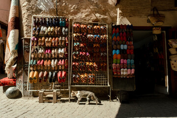 A cat walking past a store of traditional arabic style loafers of colors in the streets of the Marrakech Medina in Morocco