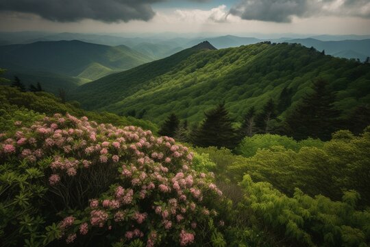 A Panoramic View Of The Smoky Mountains With Blooming Flowers & Layers Of Green Hills From Blue Ridge Parkway Near Asheville, NC, USA. Generative AI