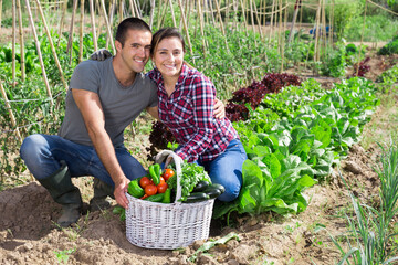 Positive young family couple with harvest of vegetables in garden