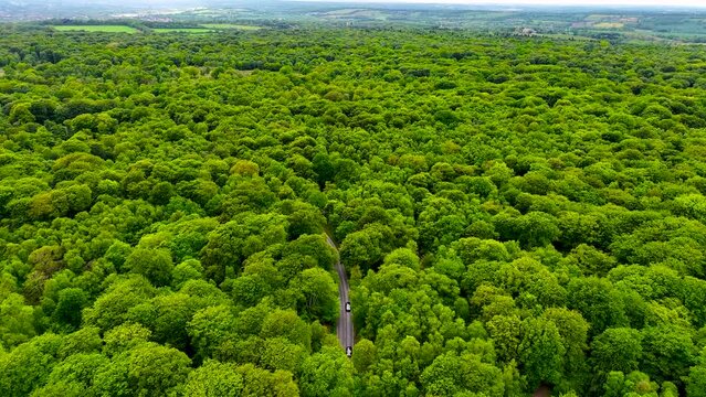 Aerial footage of Epping park in Essex, England, UK