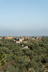 Obraz premium The buildings in the fields of the Ourika Valley in Morocco