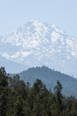 The snow mountains of the moroccan High Atlas above the forest mountains make a peak beautiful landscape of the Ourika Valley