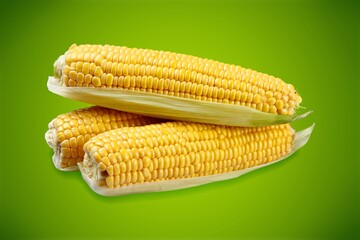 Fresh tasty raw yellow corn