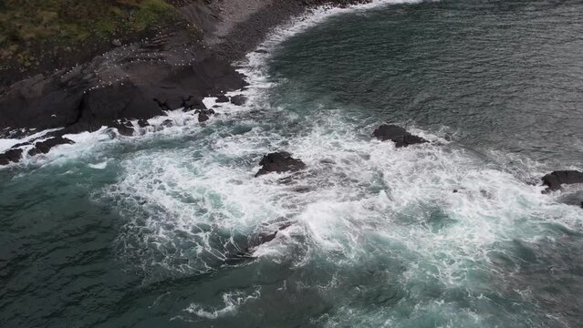 Seagulls fly away and stay on the ground on a stone by the ocean