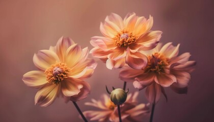 Fototapeta premium Beautiful flowers, AI generated