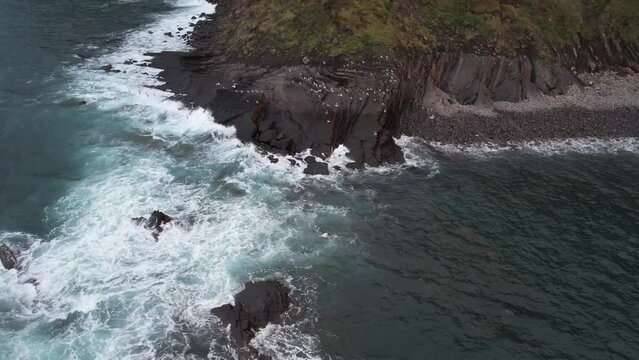 Aerial view of seagulls