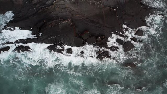 Vue du dessus avec le drone en direction des vagues allant contre le littoral et un passage de mouettes entre les éléments terre et eau