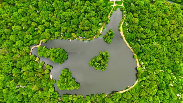 Aerial footage of Epping park in Essex, England, UK