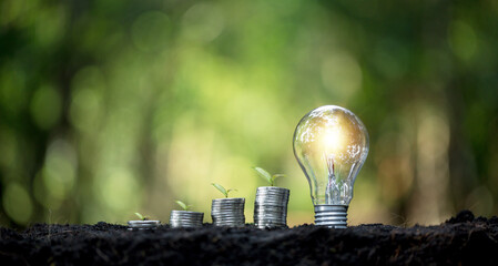 Idea of renewable energy and energy saving. Energy saving light bulb and tree growing on stacks of coins on nature background. Saving, accounting and financial concept. - obrazy, fototapety, plakaty