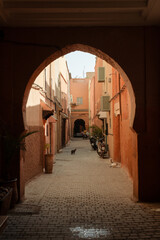 A cat and a moorish arch in the streets of the Marrakech Medina in Morocco